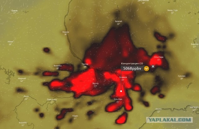 Ужасные пожары на Дальнем Востоке