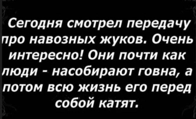 Картинки на среду разные