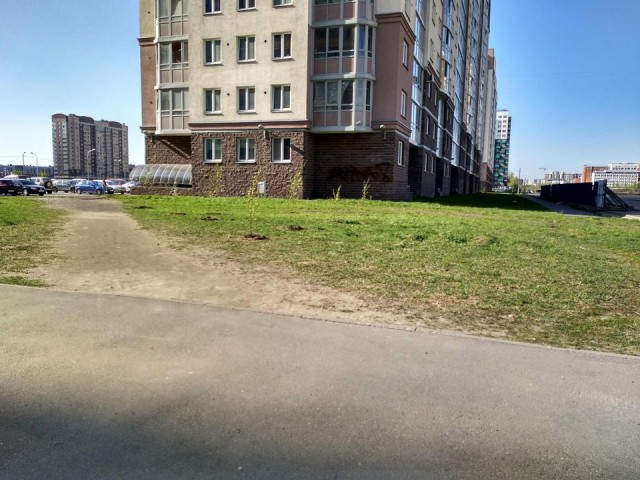Свежая зелень