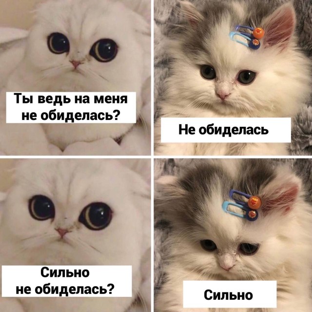 Весёлый полтишок 13.12