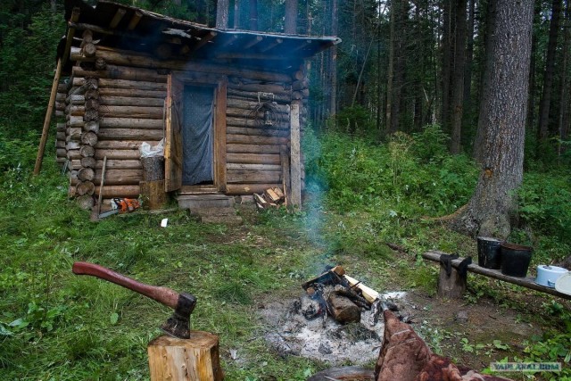 Тайга, сибирь, конец июля 2010