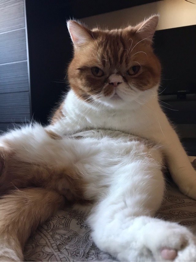 А я настоящий?