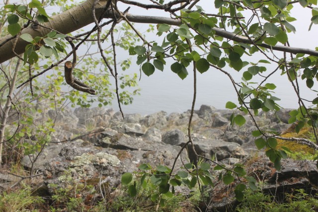 Байкал, 2011