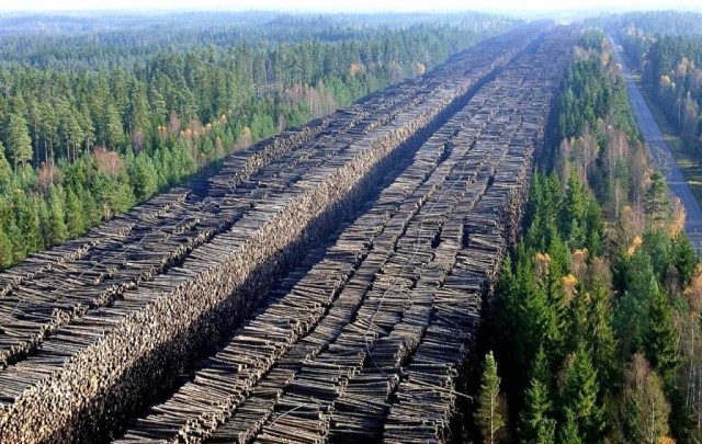 Как в Китае из пустыни делают зеленые луга