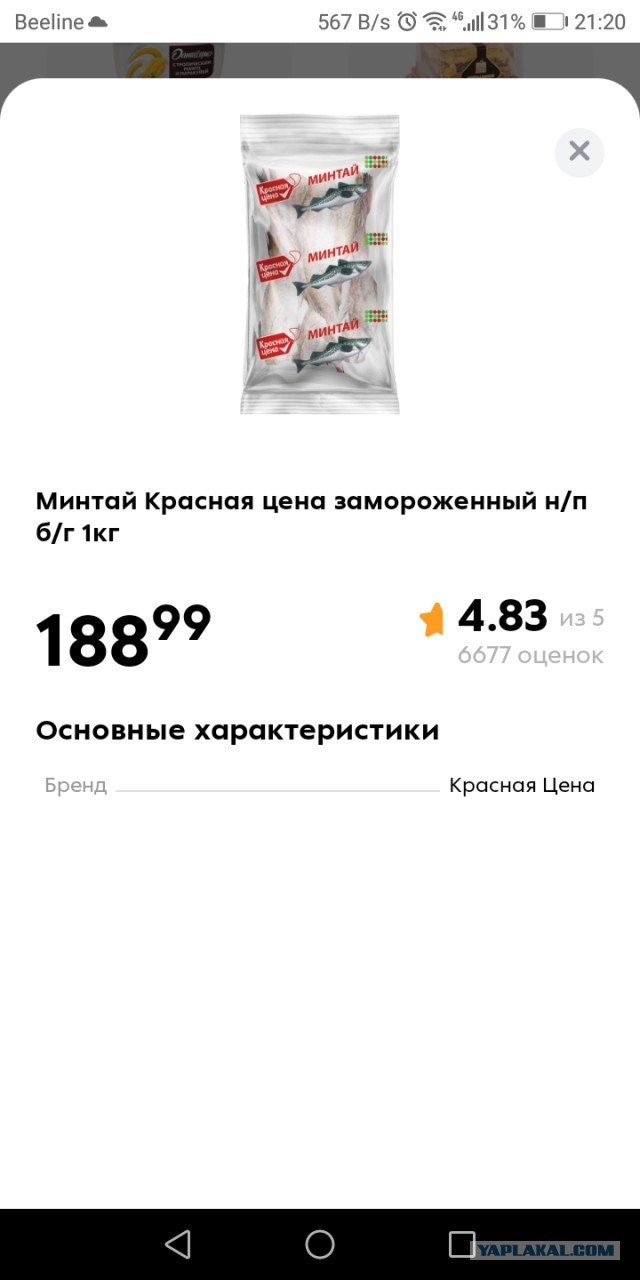 Рыба дороже пива!