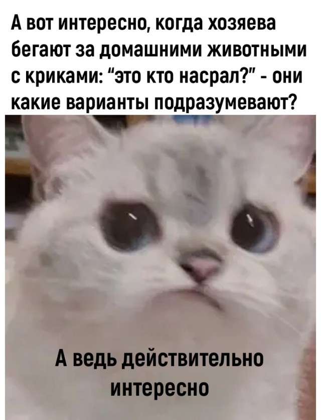 Так себе картинки 19.04.22