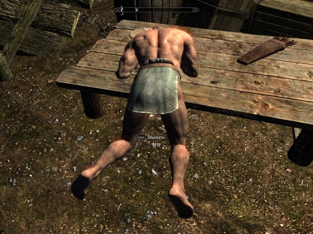 The Elder Scrolls V Skyrim