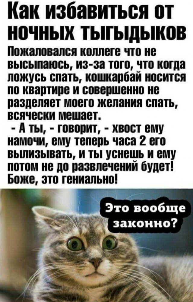 Пятница. Вечер. Картинки всякие #10