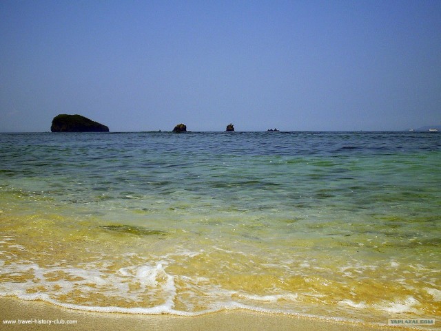 Они живут только 40 лет