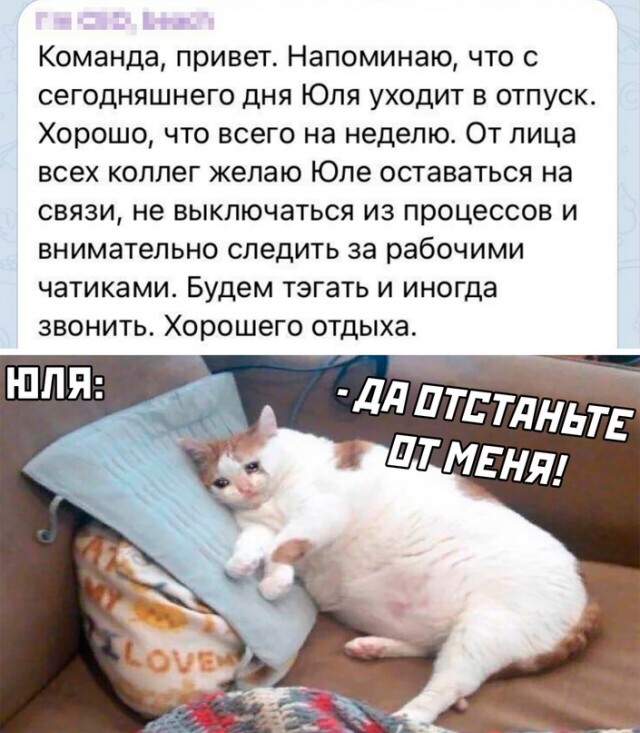 Весёлый полтишок 5.08.22