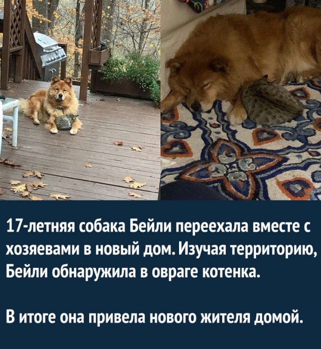 Картинки и мемы, всем хороших выходных