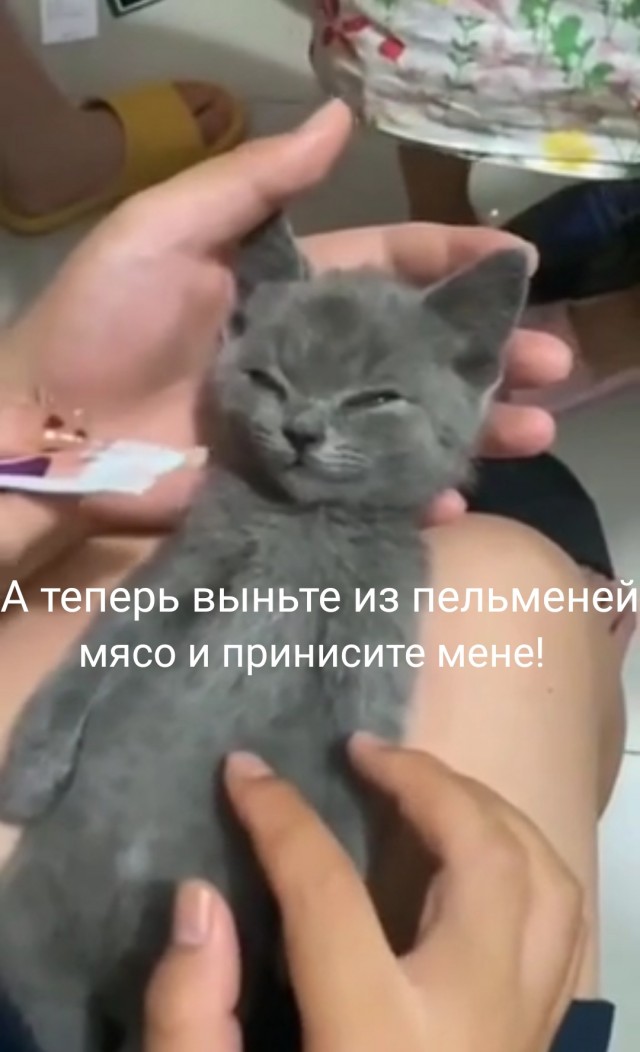 Чёртик