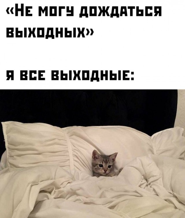 Немного картинок для настроения - 131