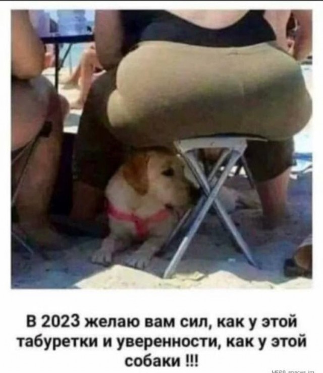 Картинки и мемы, всем хороших выходных