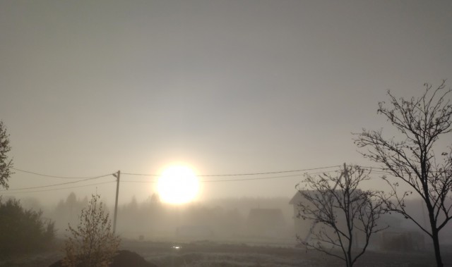Одно зимнее фото