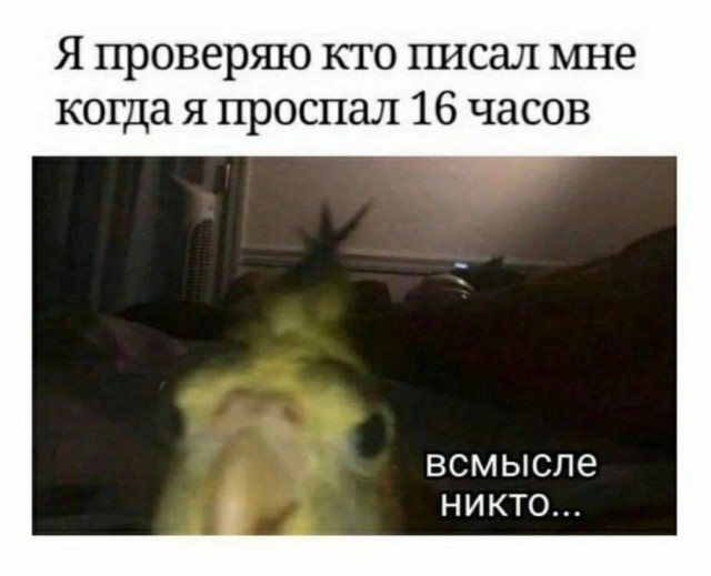 Всего понемногу. От 04.04.