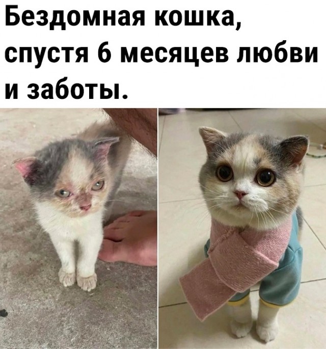 Так себе картинки 18.05.23