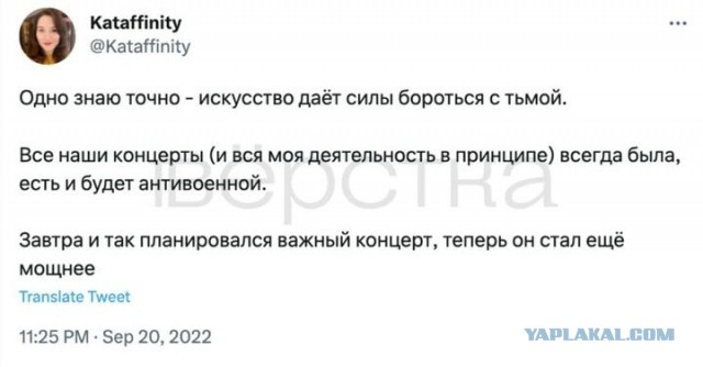 Победная поступь идиотизма по планете – том 15