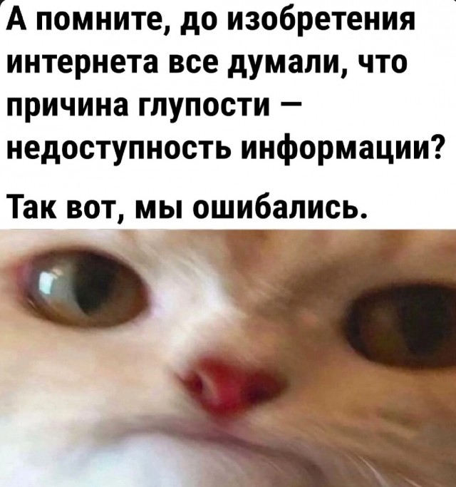 Картинки и мемы, всяко разно - 185