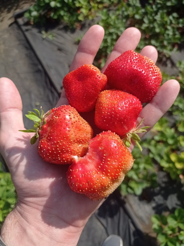 Лето на Южном Урале