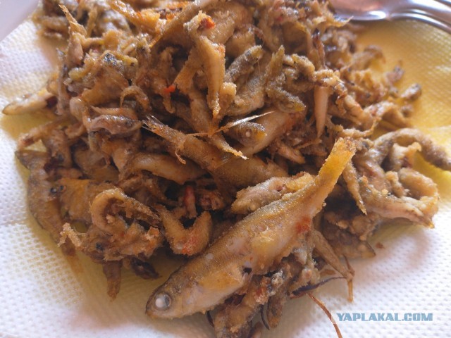 Жена-корова