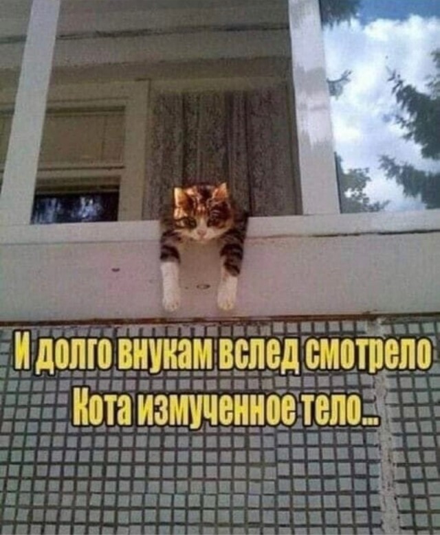 Картинки от Скодеро-2