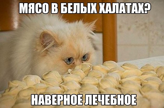 Пельмени