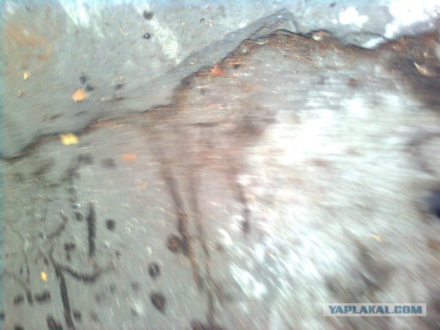 Почистил телефон