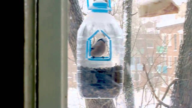 Зрителей не оторвать от экрана