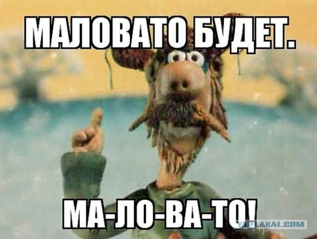 В пригороде Братска люди довольно жестоко избили хозяйку питбуля