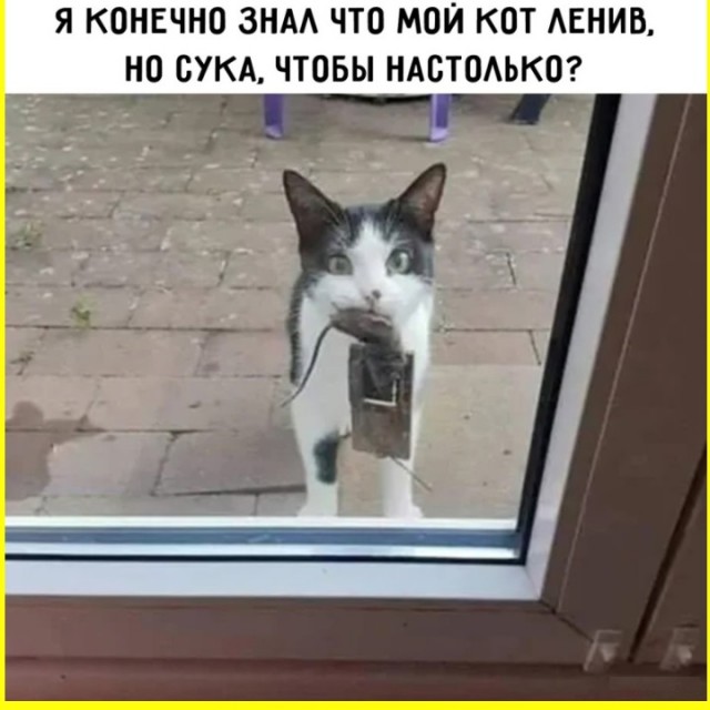 ТЛидцать тЛи от 5 апЛеля
