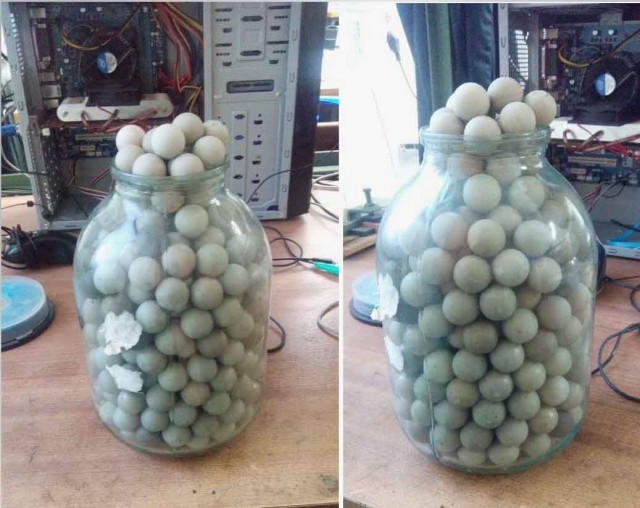 Мышиные яйца