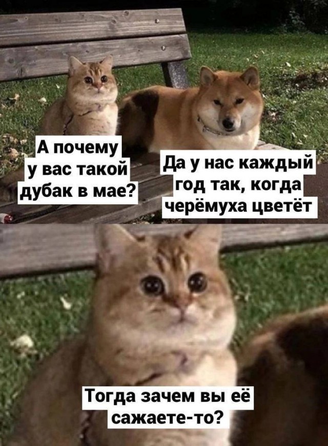Так себе картинки 04.05.24