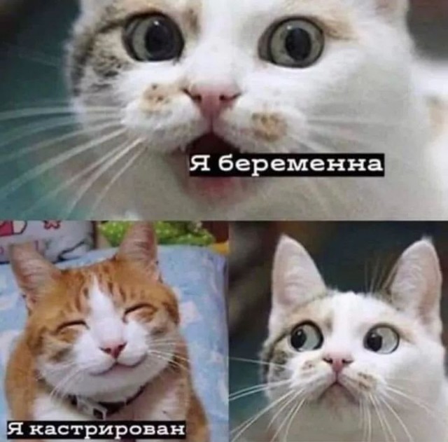 Завалялось тут случайно немного забавных картинок