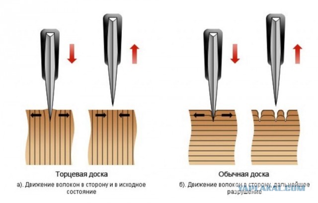 Разделочная доска, как произведение искусства