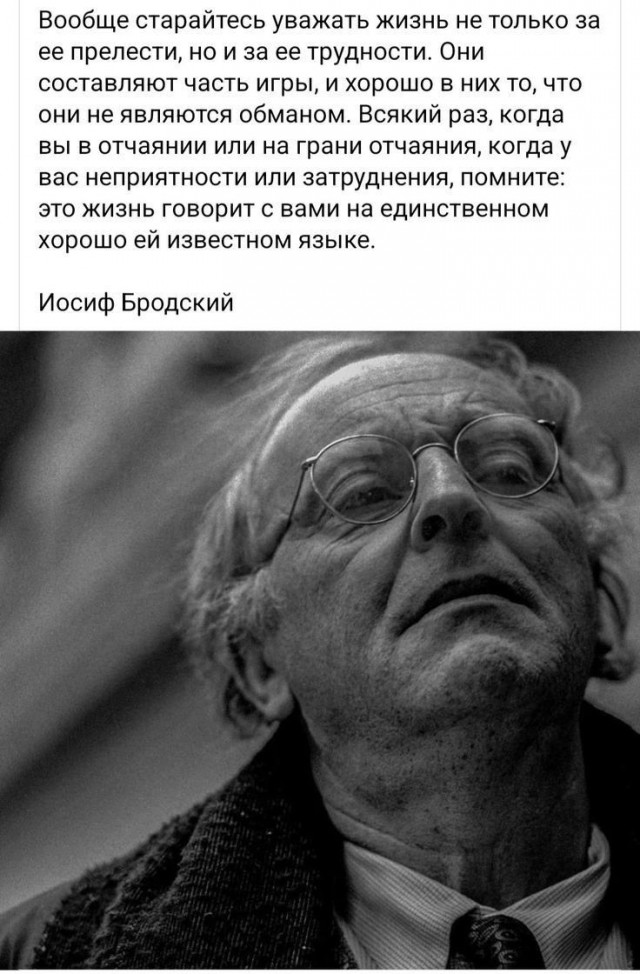 Прикольные и просто красивые картинки 24.12.2024