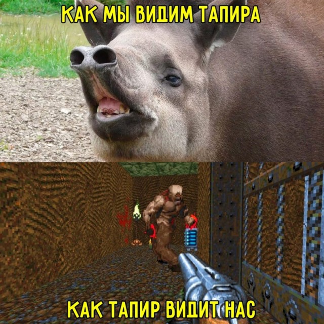 - Галя, у нас гангрена