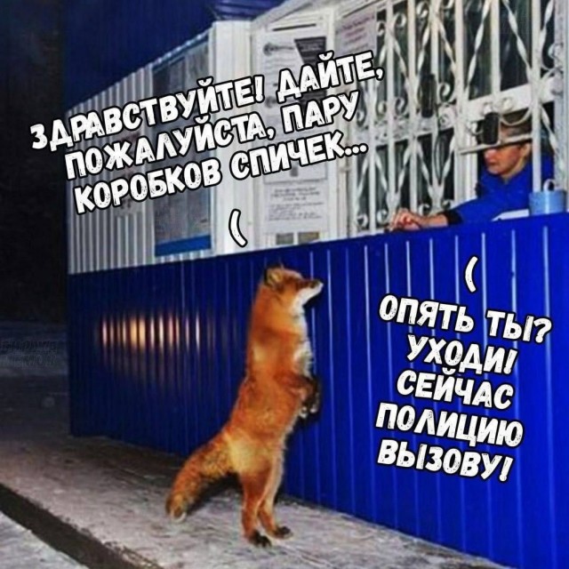 Завалялось тут случайно немного забавных картинок