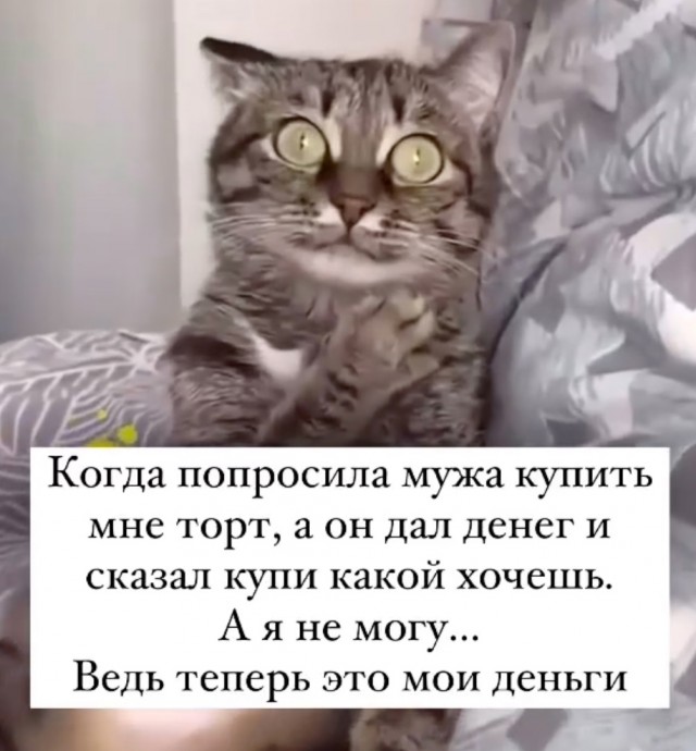 Весёлый полтишок 27.02.2025
