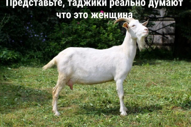 10 из просторов