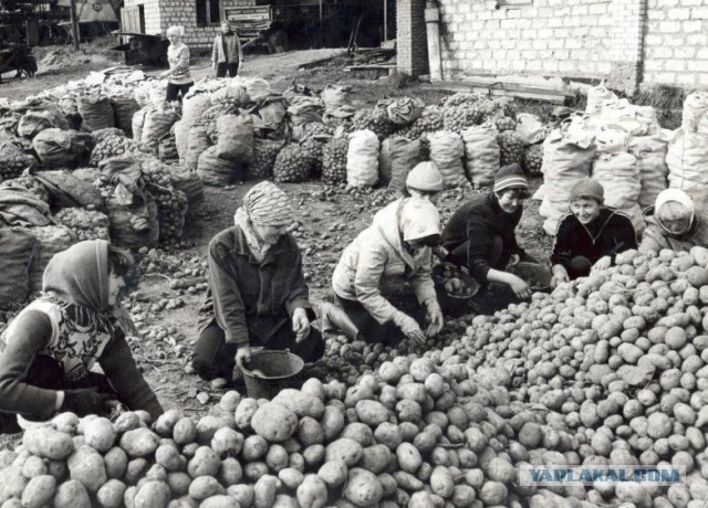 ЕС повышает на 50% пошлины на сельхозпродукцию из РФ и РБ