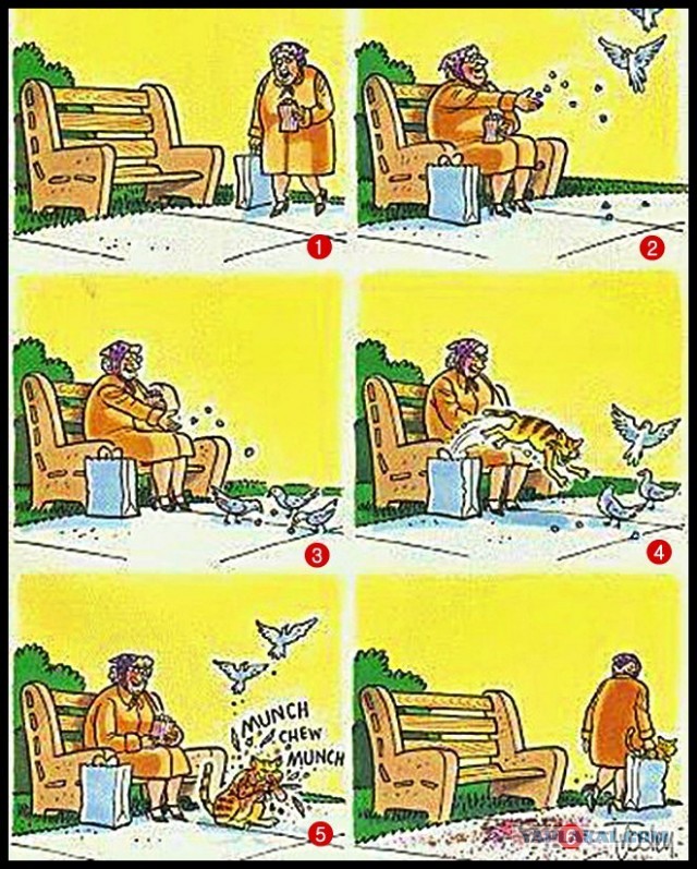 Кот-рыболов