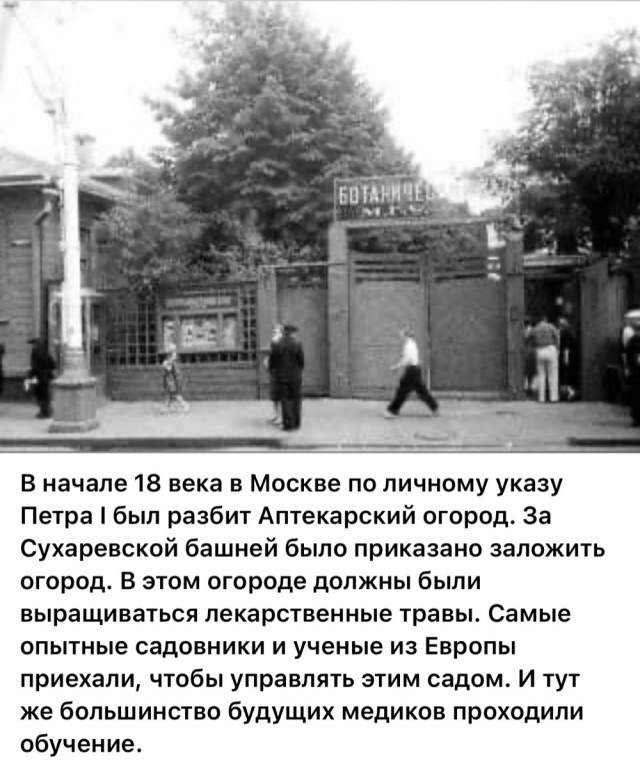 Москва и москвичи. Двадцатый век. 03.08.25