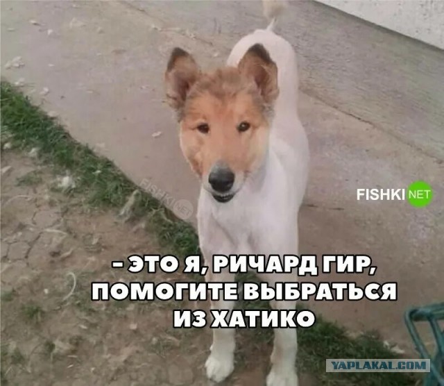 75-летний Ричард Гир