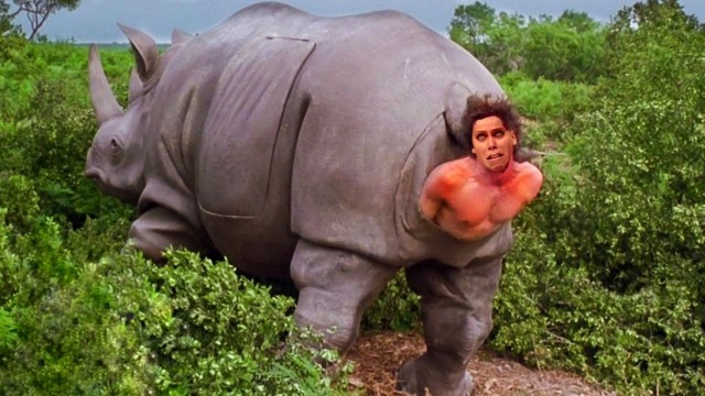 Фотожаба Гимнасточка