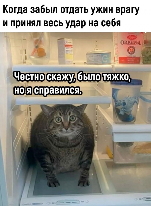 Прикольные и просто красивые картинки 25.11.2025