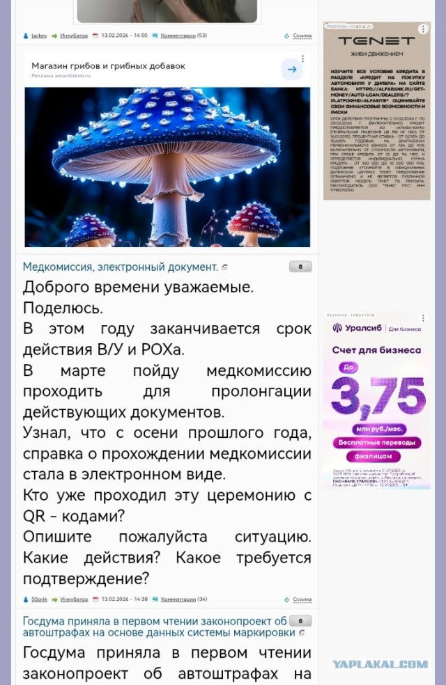 Литературное заведение "Буквица"