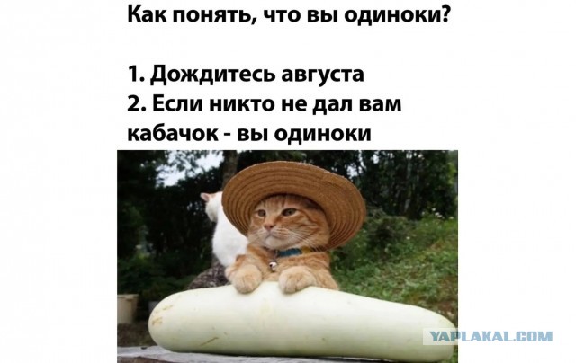 Поздравляю всех с открытием сезона