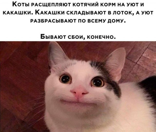 Картиночки, баянчики 18 июня