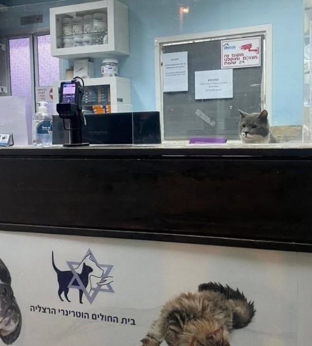 Сотрудник года